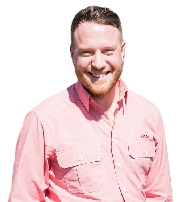 Tommie Watts Albany Real Estate